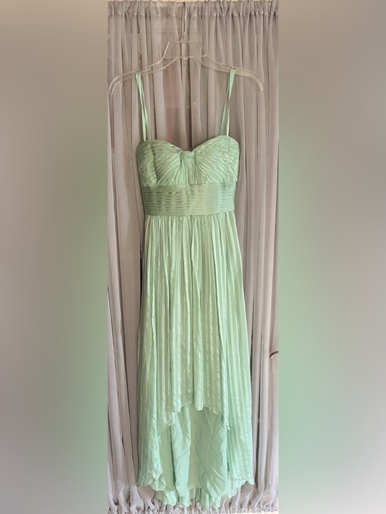 BCBGMaxAzria Dresses & Skirts - BCBGMaxAzria Alicia Silk Opaline Green Charmeuse Gown Size 2
